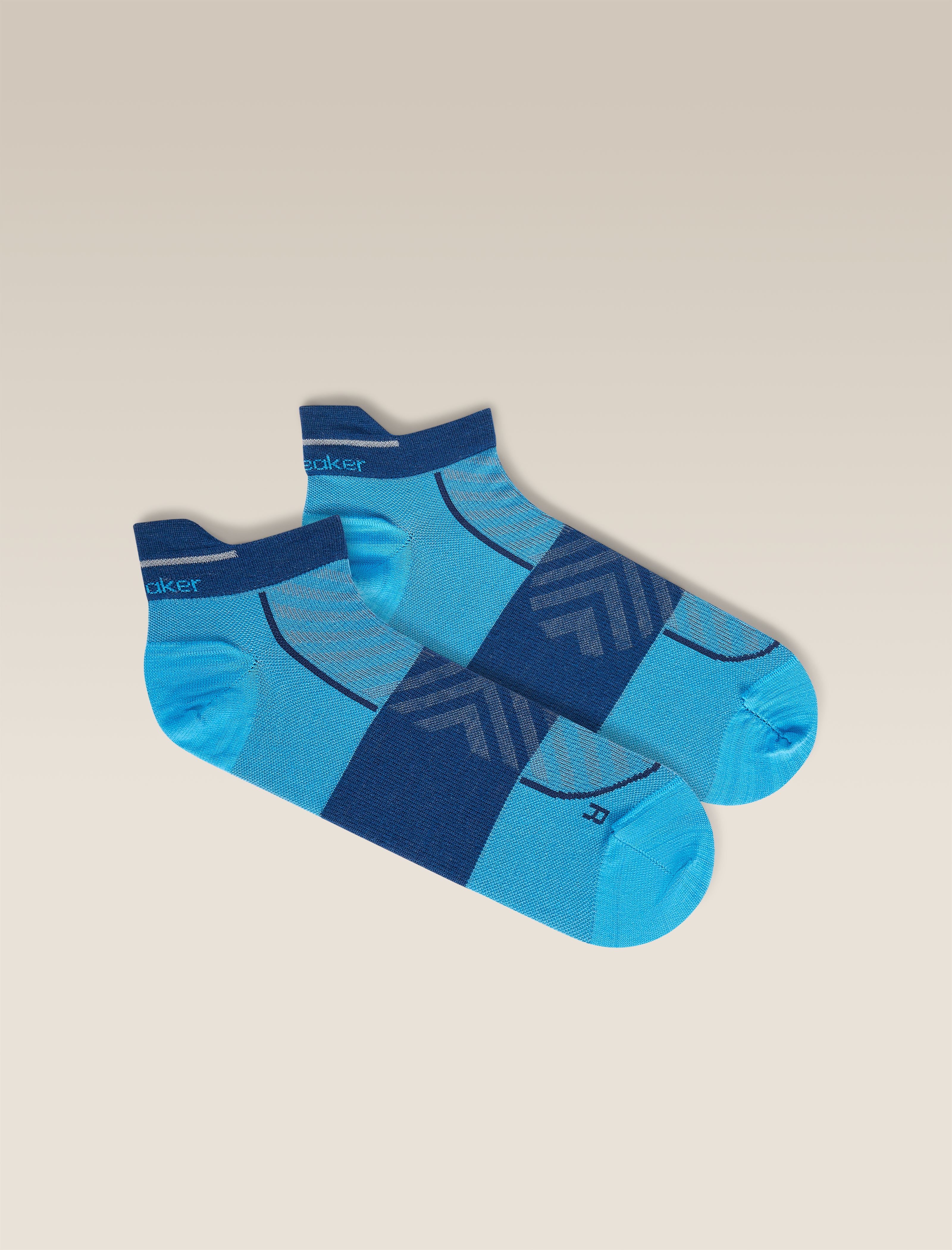 1007-men-s-merino-blend-run-ultralight-micro-socks-1.jpg Men's Merino Blend Run+ Ultralight Micro Socks