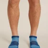 Men's Merino Blend Run+ Ultralight Micro Socks