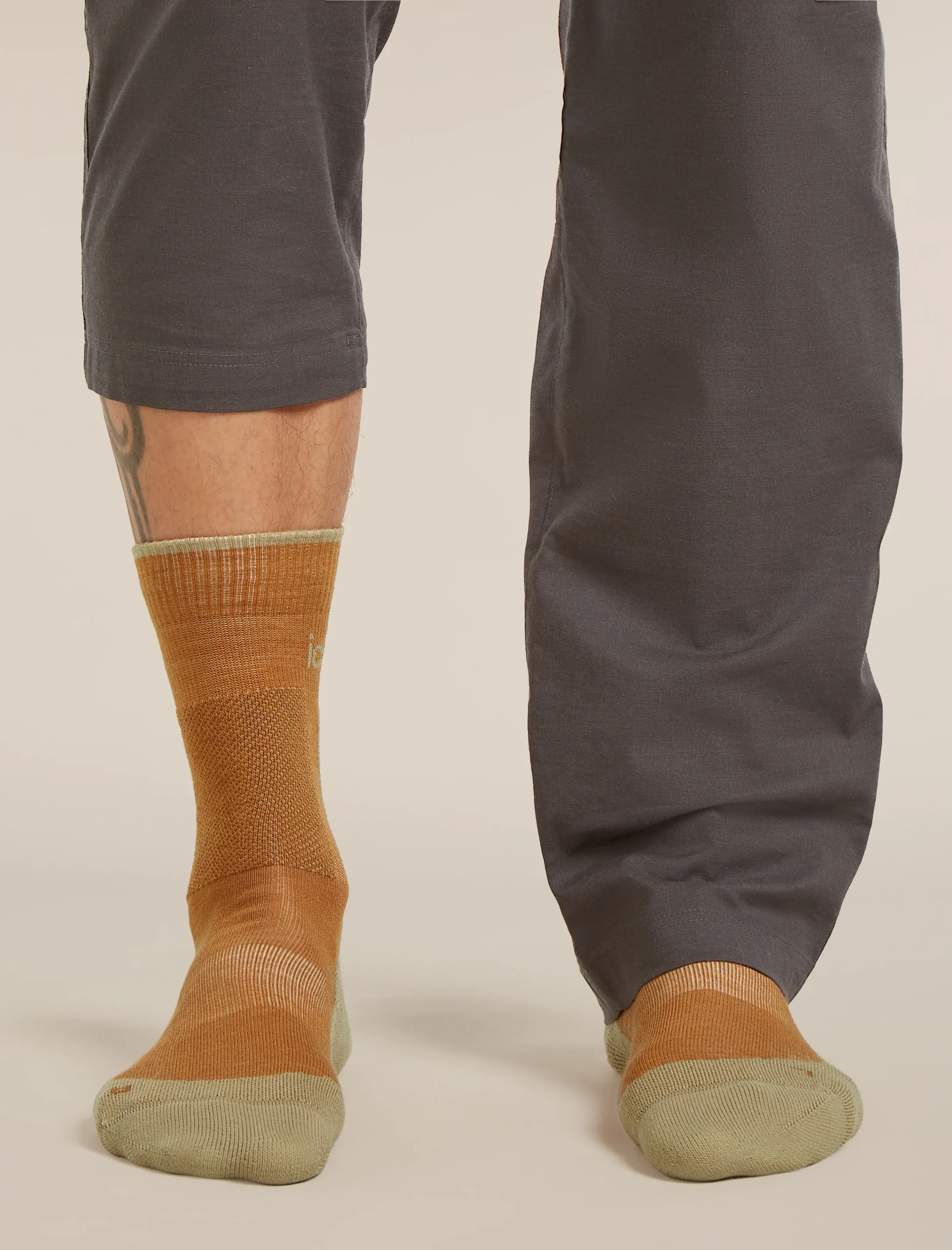 Men's Merino Hike+ Medium Crew Socks