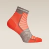 Women's Merino Blend Run+ Ultralight Mini Socks
