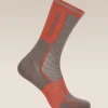 Women's Merino Blend Run+ Ultralight Crew Socks