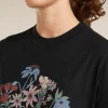 Women's Merino 150 Tech Lite Short Sleeve Crop Tee NZ Flora
