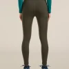 Women's Merino 260 Fastray 25" High Rise Tights