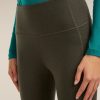 Women's Merino 260 Fastray 25" High Rise Tights