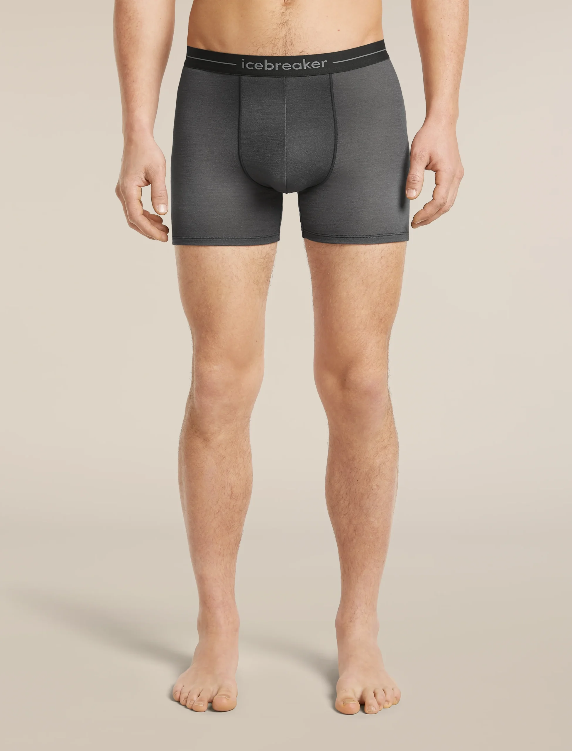 1441-obsidian-proto-grey-l-obsidian-proto-grey-l-variation-1.webp Men's Merino 150 Anatomica Boxers Transition