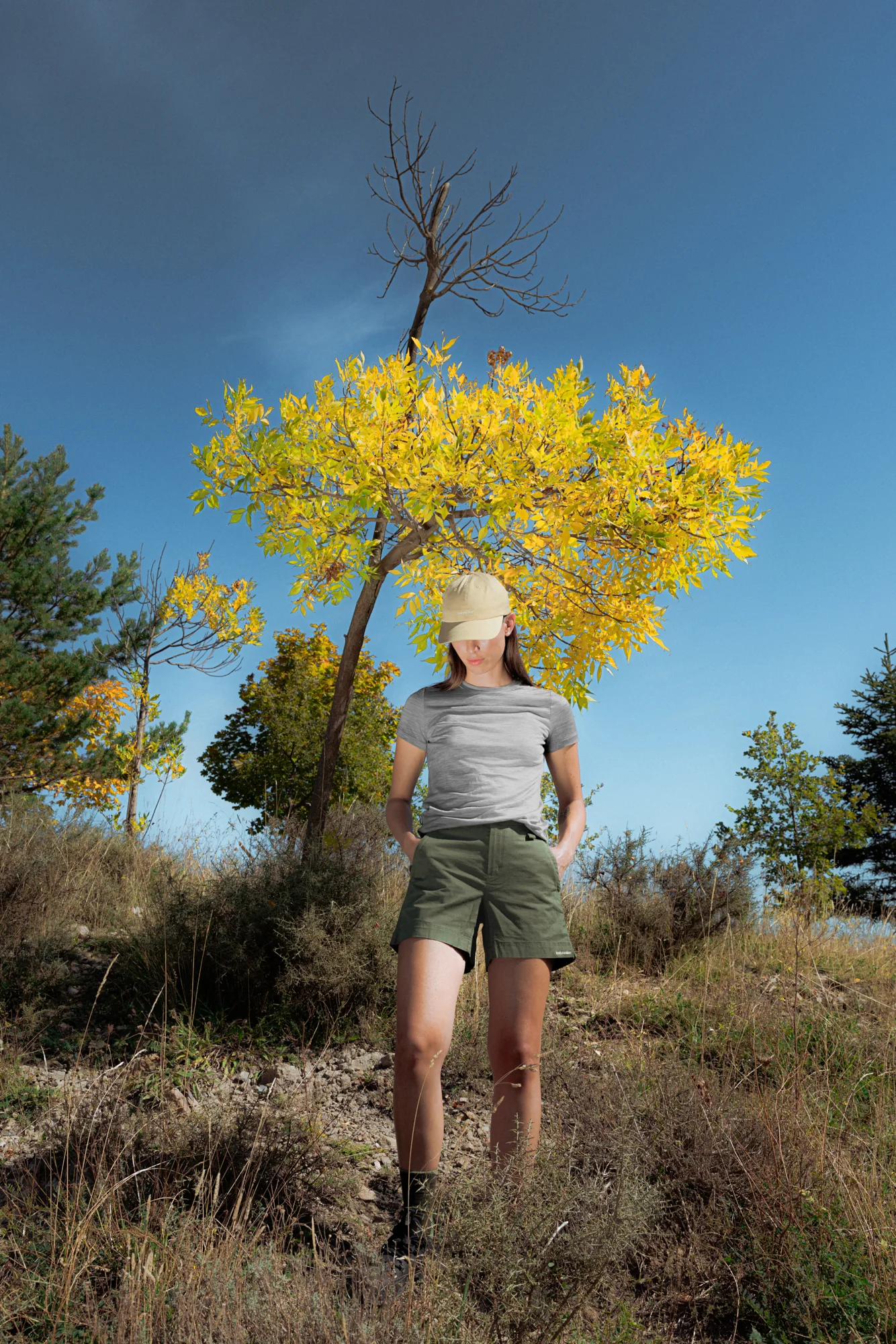 Women's Merino Blend Elevation Stretch 5" Shorts