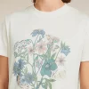 Women's Merino 150 Tech Lite Short Sleeve Crop Tee NZ Flora
