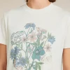 Women's Merino 150 Tech Lite Short Sleeve Crop Tee NZ Flora