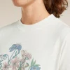 Women's Merino 150 Tech Lite Short Sleeve Crop Tee NZ Flora