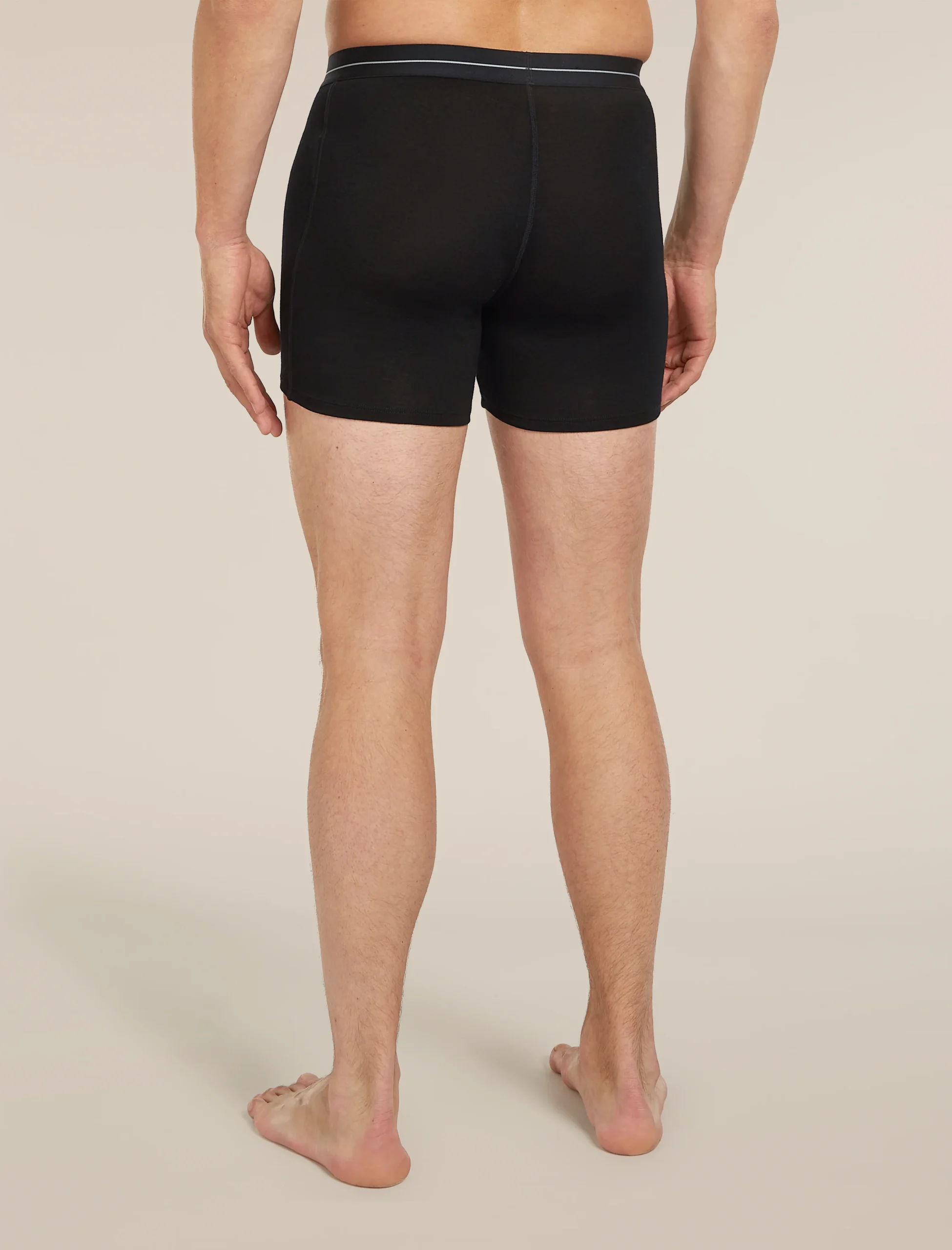 Men's Merino 150 Anatomica Boxers wFly 2 Pack