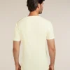Men's Merino 150 Anatomica Short Sleeve V Neck Top