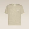 Unisex Merino 150 Short Sleeve Tee Stripe