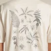 Men's Merino 150 Tech Lite Short Sleeve Relaxed Tee Fern Study