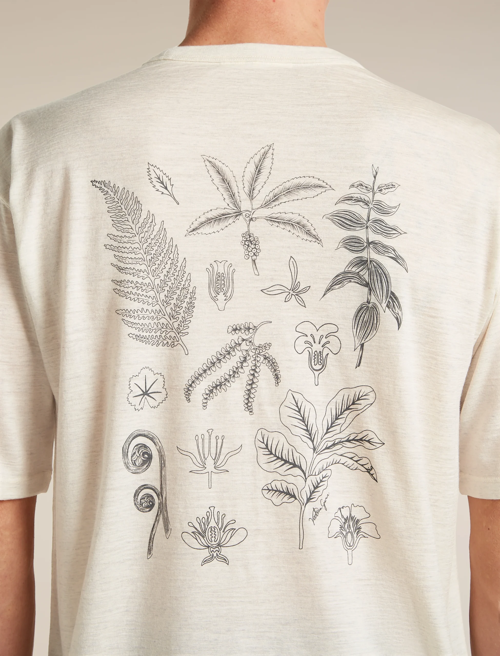 Men's Merino 150 Tech Lite Short Sleeve Relaxed Tee Fern Study