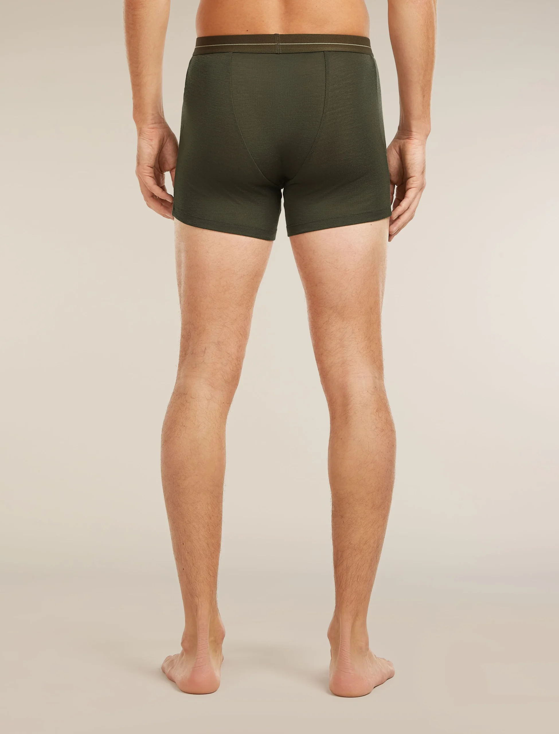 Men's Merino 175 Everyday Boxers wFly