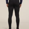 Men's Merino 260 Tech Thermal Leggings wFly