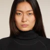 Women's 300 MerinoFine™ Polar Long Sleeve Roll Neck Thermal Top