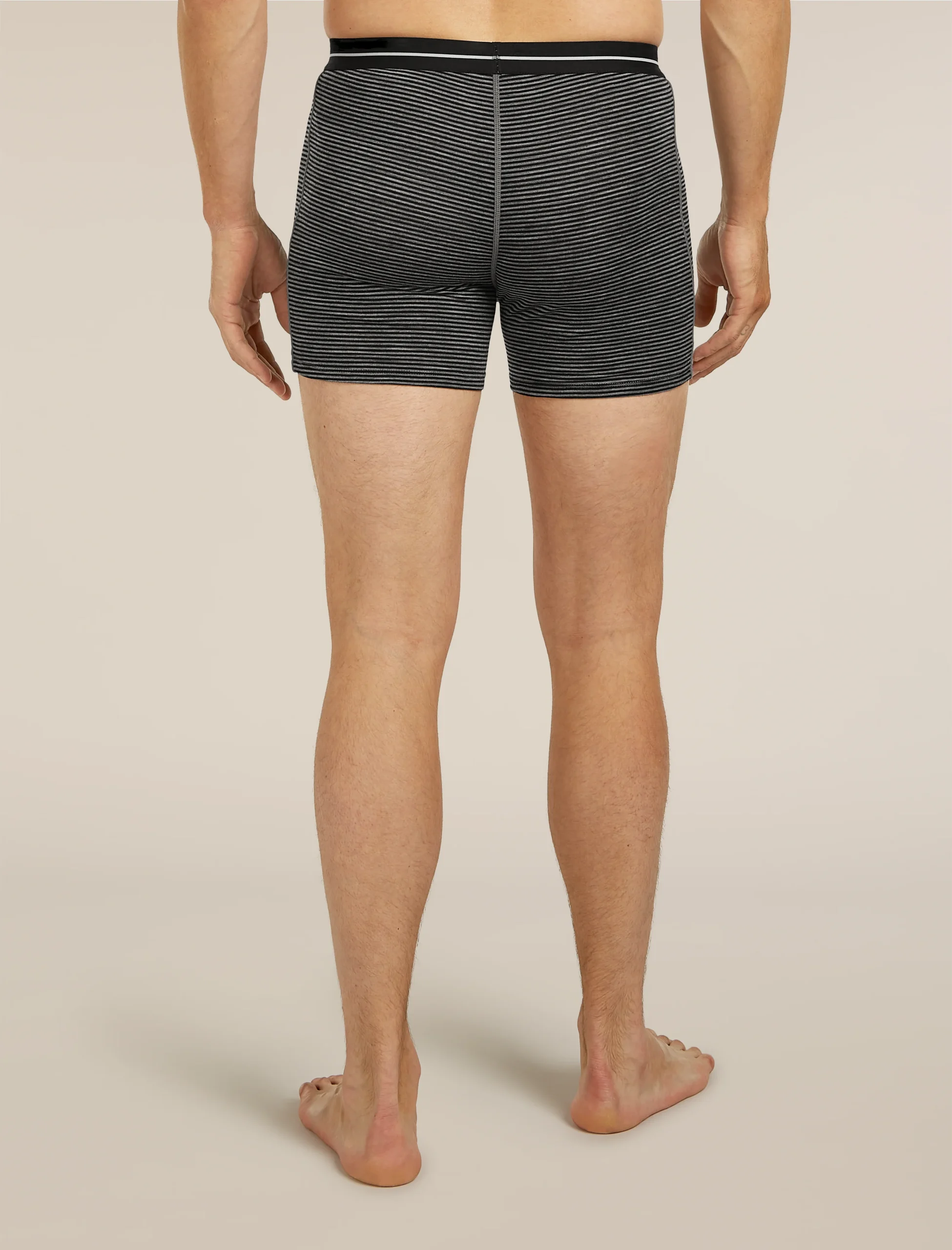 Men's Merino 150 Anatomica Boxers