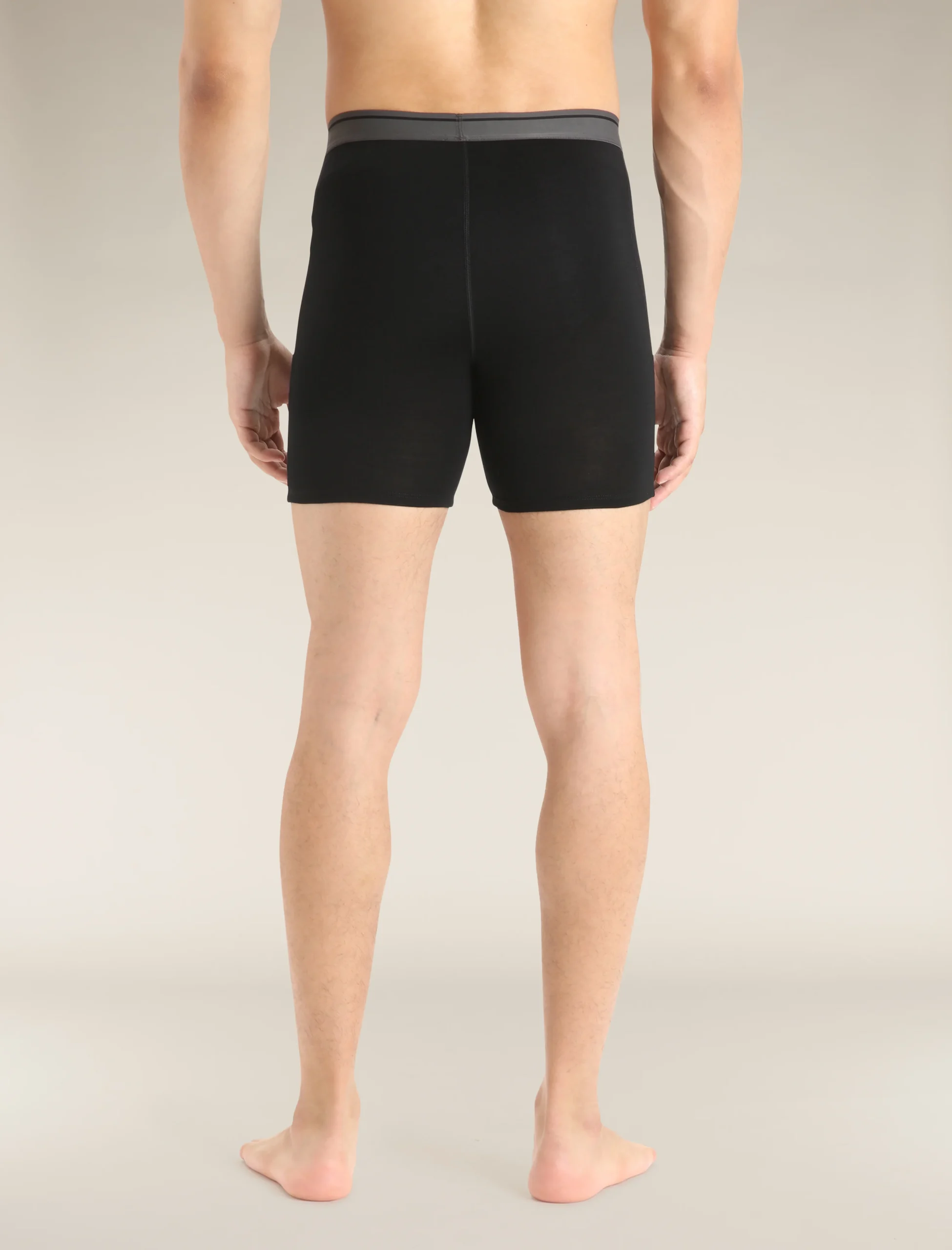 Men's Merino 150 Anatomica Long Boxers