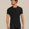 Men's Merino 150 Anatomica Short Sleeve Crewe Top