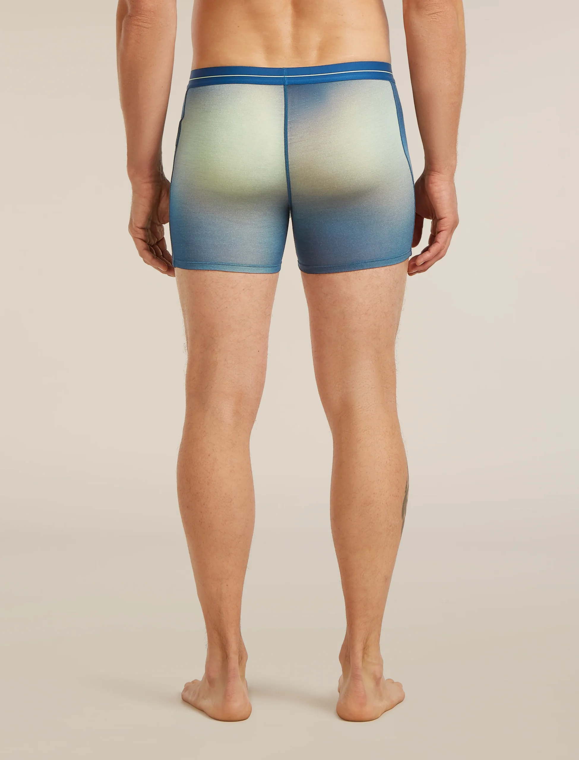 Men's Merino 150 Anatomica Boxers Transition