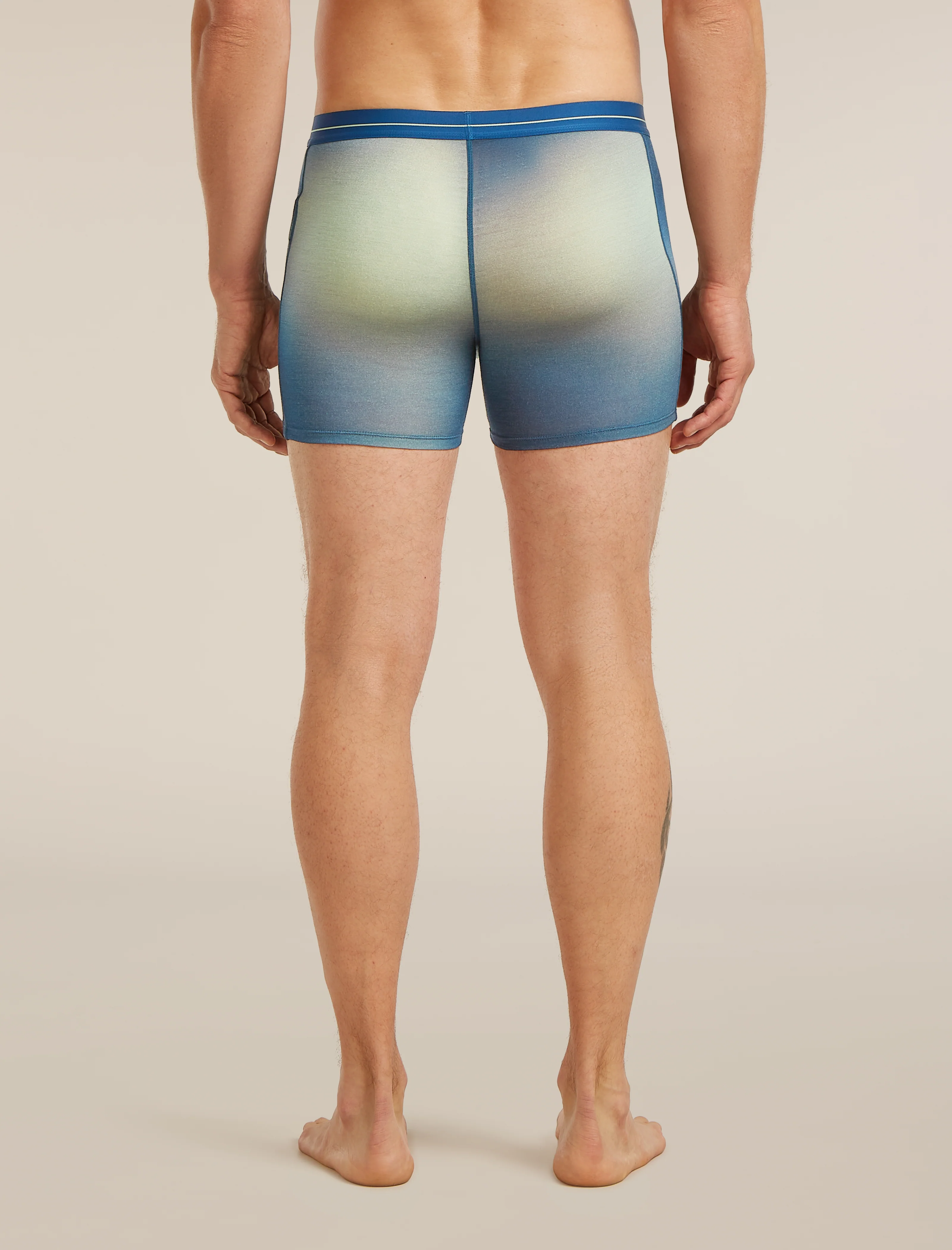 Men's Merino 150 Anatomica Boxers Transition