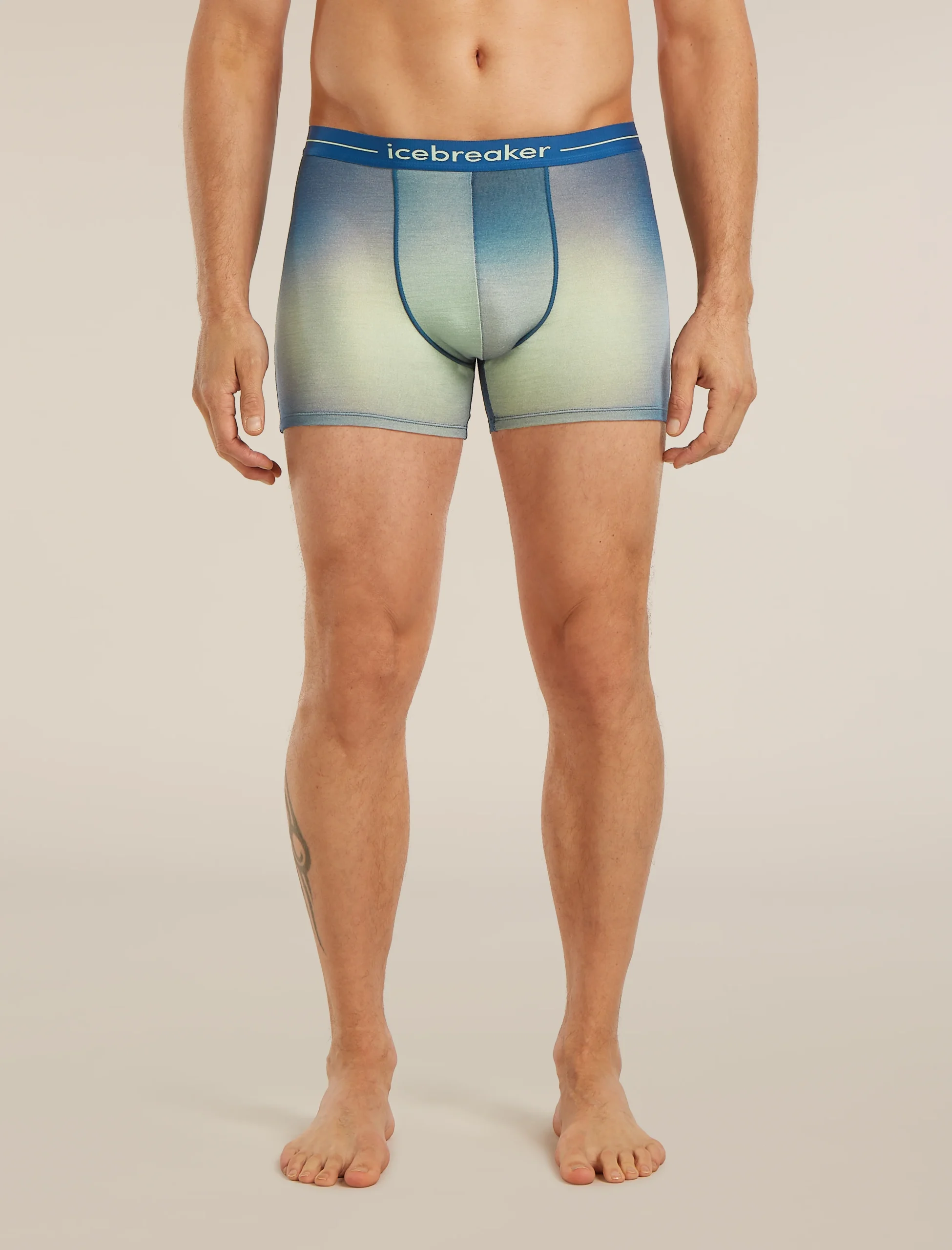 Men's Merino 150 Anatomica Boxers Transition