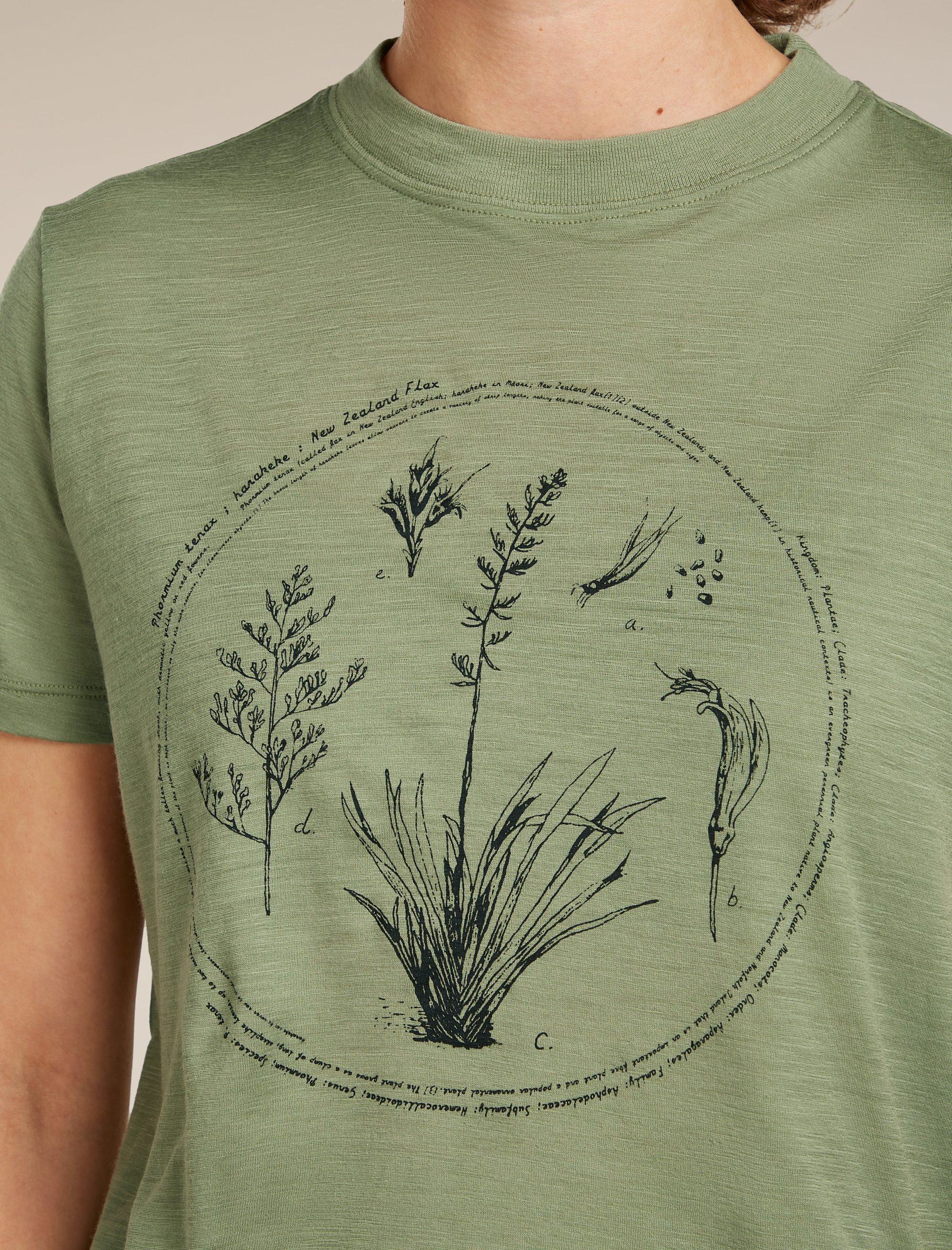 Women's Merino 150 Tech Lite Short Sleeve Crop Tee Seed Story