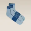 Men's Merino Blend Run+ Ultralight Mini Socks